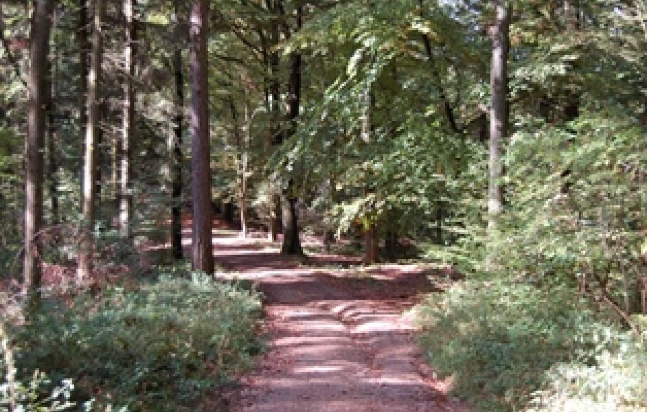 Natura trail Im kleinen Odenwald