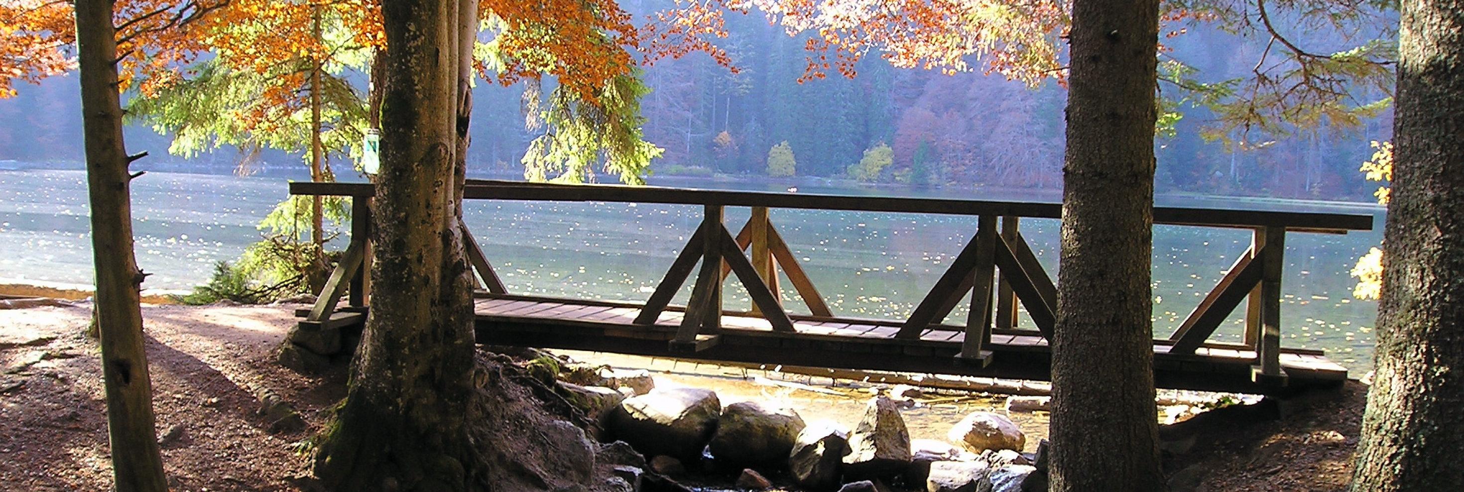 NFH Feldberg Brücke